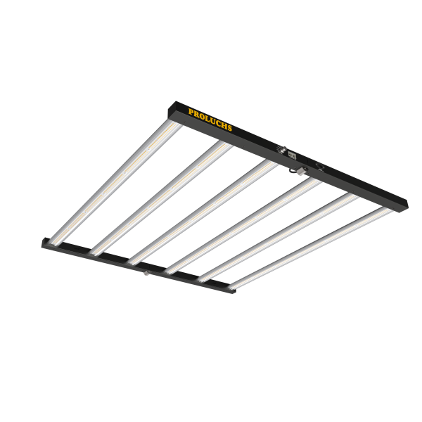 Budfucker 1000 120x120cm 1000w